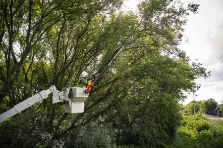 Аккумуляторный высоторез телескопический M18 FTPS30-0 FUEL Milwaukee купить в Минске