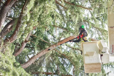 Аккумуляторный высоторез телескопический M18 FTPS30-0 FUEL Milwaukee купить в Минске