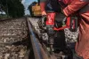 Гайковёрт аккумуляторный M18 ONEFHIWF1-802X FORGE (замена для 4933459733) Milwaukee купить в Минске