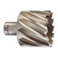 Кольцевая фреза HSSAC 49 x 30 - 1 шт Milwaukee купить в Минске