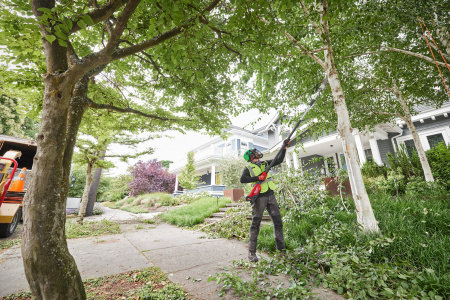 Аккумуляторный высоторез телескопический M18 FTPS30-0 FUEL Milwaukee купить в Минске