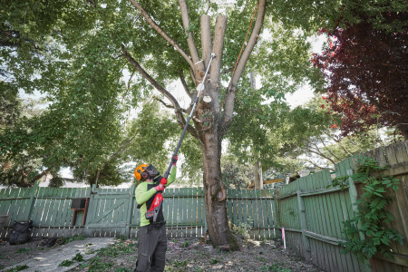 Аккумуляторный высоторез телескопический M18 FTPS30-0 FUEL Milwaukee купить в Минске