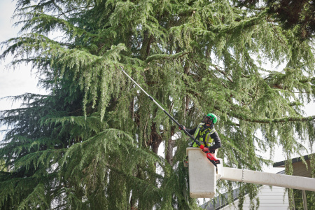 Аккумуляторный высоторез телескопический M18 FTPS30-0 FUEL Milwaukee купить в Минске