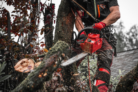 Аккумуляторная цепная пила с верхней рукояткой 35 см M18 FTHCHS35-802 Milwaukee купить в Минске