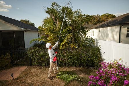 Аккумуляторный секатор телескопический M18 BLTS-551 Milwaukee купить в Минске