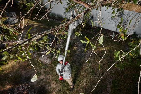 Аккумуляторный секатор телескопический M18 BLTS-551 Milwaukee купить в Минске