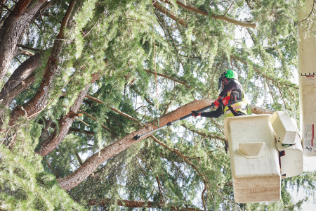 Аккумуляторный высоторез телескопический M18 FTPS30-0 FUEL Milwaukee купить в Минске